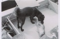 RC 2015.0.2.1 Bishop Interview Image Number 72